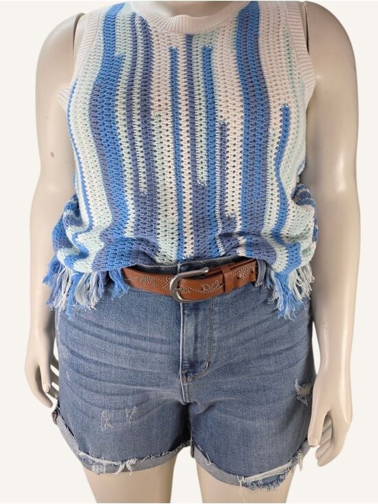Judy Blue Pants - Judy Blue 2X High Rise Distressed Raw Hem Cuffed Shorts NWOT